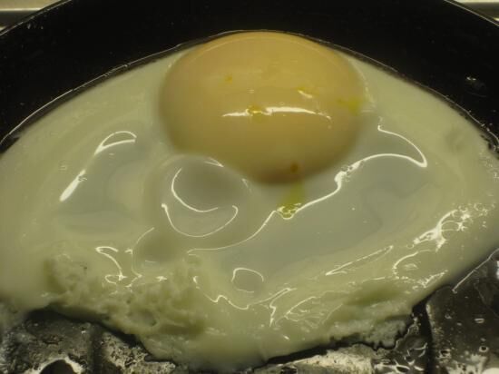 Spiegelei Aus Der Mikrowelle — Rezepte Suchen