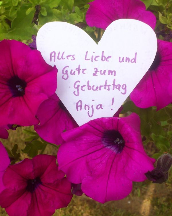 Lichtgruss Liebe Geburtstagsgrusse Reinhard Kawohl Christliche Sonstiges Online Kaufen Bei Alpha Buch