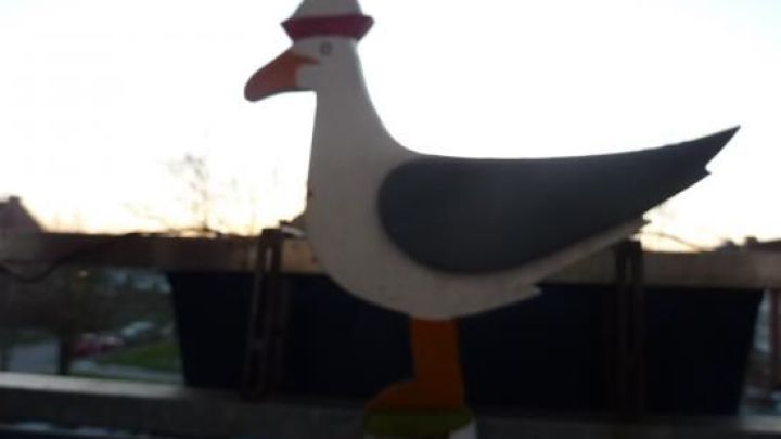 Deko für Balkon und Garten Möwe aussägen