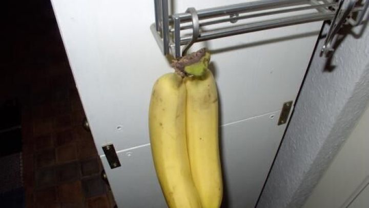 Bananen &amp;quot;artgerecht&amp;quot; lagern - Bananen aufhängen | Frag Mutti