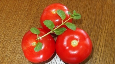 Tomatensoße schmeckt frischer mit Pfefferminz