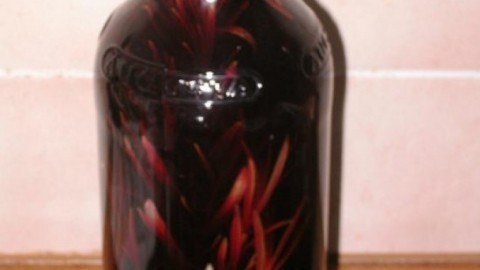 Selbst gemachter Rotwein-Rosmarin-Essig