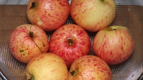 Äpfel in Brathähnchen halten das Fleisch saftig
