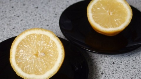 Zitronehälften gegen Fruchtfliegen in der Küche