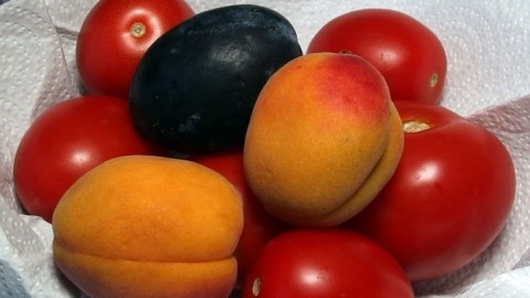 Frisches Gemüse und Obst billig einkaufen
