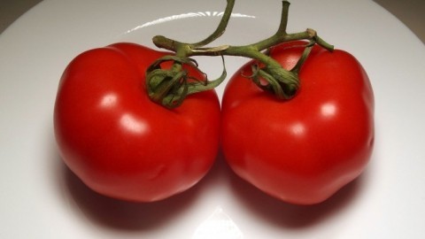Lycopin in Tomaten-schützt Haut, antioxidativ