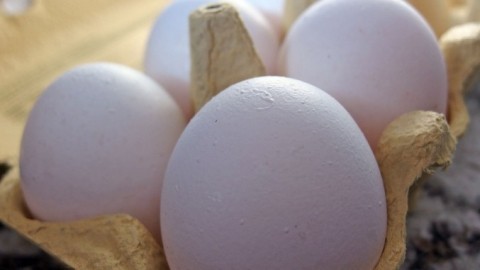 Eier bei Raumtemperatur verarbeiten - macht das Sinn?