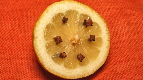 Zitronen & Nelken: Diese Gerüche sind von der Obstfliege verhasst und gleichzeitig angenehm für unsere Nasen. Eine geschnittene Zitrone liegt auf einem orangefarbenen Tuch. Gewürzstücke sind auf der Zitrone verteilt, um Obstfliegen abzuschrecken.