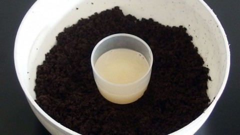 Peelingshampoo mit Kaffeesatz