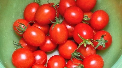Schnelle Tomatensoße auf Vorrat kochen