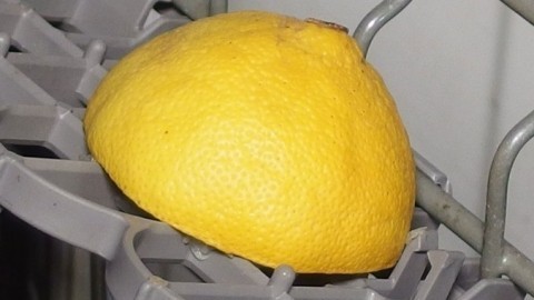 Geruchsbeseitigung im Geschirrspüler mit Orangen/Zitronen