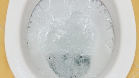 Kalkablagerungen im WC entfernen, bis unter den Rand
