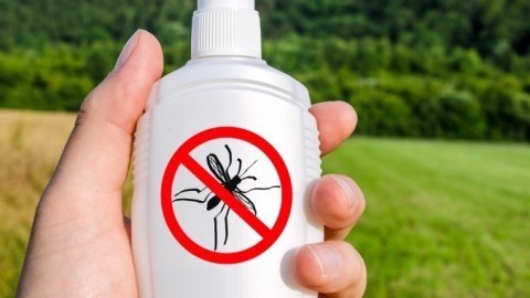Wunderbares Mittel gegen Mückenstiche