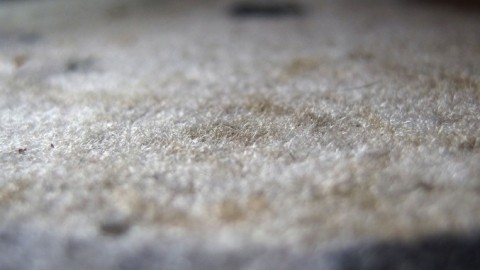 Flecken auf dem Teppich