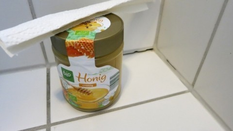 Honig gegen Silberfische II