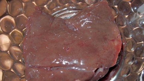Sparsame Patienten können diese anschließend gut durchgebraten verzehren, am besten mit Zwiebelringen. Frische Leber liegt auf einem glänzenden Teller, bereit zur Zubereitung als Hausmittel gegen Veilchen und Knutschflecke.