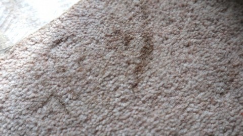Flecken im Teppich weg mit Backpulver, Hefepulver und Milch