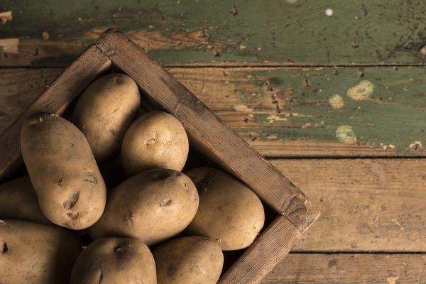 Kartoffeln machen nicht dick, sondern sind eine s&auml;ttigende und n&auml;hrstoffreiche Beilage f&uuml;r viele Gerichte.