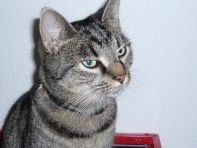 Profilbild