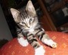 Profilbild