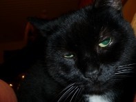 Profilbild
