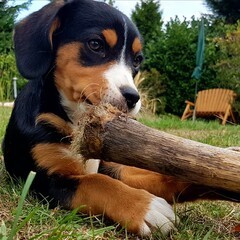 Profilbild