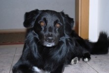 Profilbild