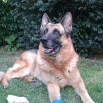 Profilbild