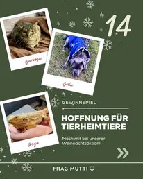 Frag-Mutti.de Instagram Post 2