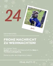 Frag-Mutti.de Instagram Post 1