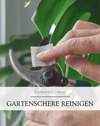 Frag-Mutti.de Instagram Post 1