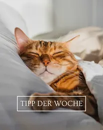 Frag-Mutti.de Instagram Post 1