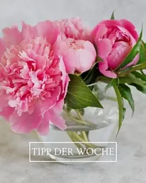 Frag-Mutti.de Instagram Post 1