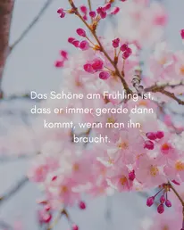 Frag-Mutti.de Instagram Post 1