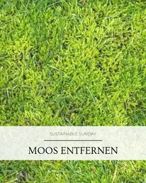 Frag-Mutti.de Instagram Post 1
