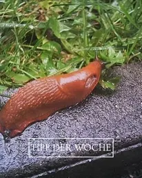 Frag-Mutti.de Instagram Post 1