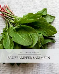 Frag-Mutti.de Instagram Post 1