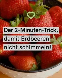Frag-Mutti.de Instagram Post 1