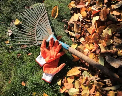 Herbstarbeit im Garten