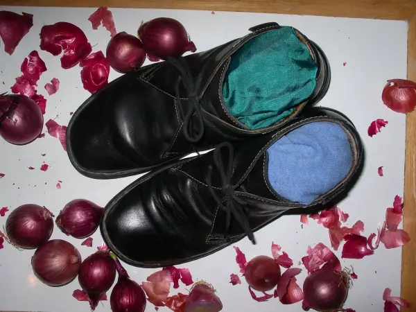Schwarze Glattlederschuhe liegen auf einem Untergrund, gefüllt mit bunten Socken, um sie zu formen, umgeben von roten Blütenblättern.