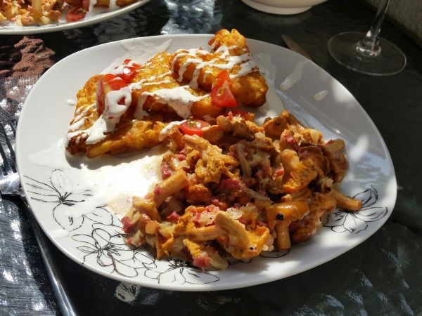 Pfifferlinge Trocknen - Rezepte Suchen