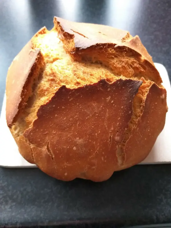 Ein frisch gebackenes Dinkel-Roggenbrot liegt auf einer weißen Unterlage, die krustige Oberfläche zeigt goldbraune Risse.