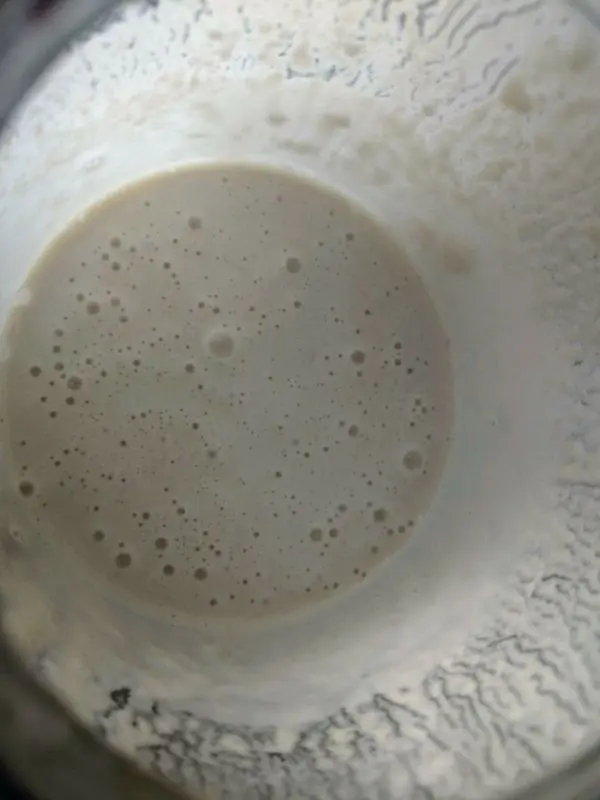 Dinkel-Sauerteig blubbert in einem Glas, bereit zum Backen von Dinkelbrot, mit einer cremigen, luftigen Textur.
