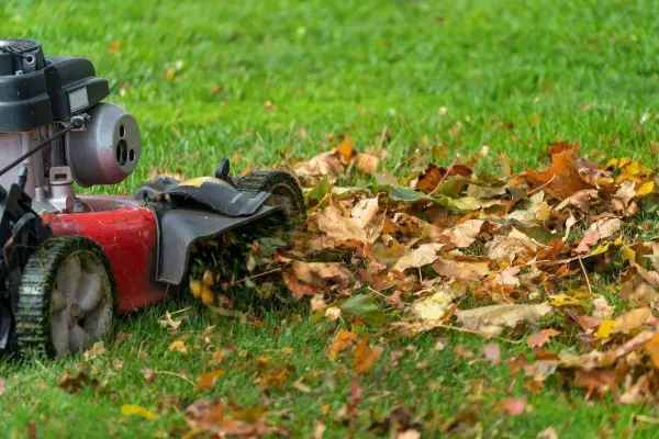 RRRRRRRR &hellip; M&auml;he einfach einmal mit dem Rasenm&auml;her &uuml;ber das Herbstlaub, bevor du es in den Laubkompost packst. Damit beschleunigst du den Kompostierprozess. 