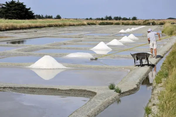 Kein Zucker: Diese Häufchen bestehen aus Salz, das in „Salinen“ geerntet wird. Dort lässt man Meerwasser in Becken laufen, wo es verdampft. Zurück bleibt Salz.