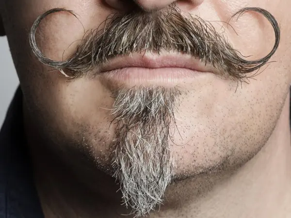 Catweazle, der diesen Ziegenbart im Fernsehen bekannt machte, dürfte eher älteren Semestern bekannt sein. Otto, der für diese Rolle ebenfalls Goatee trug, kennt dagegen jede Ziege.