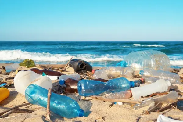 Wie der Flaschenboden aussieht, ist ganz egal: PET-Flaschen geh&ouml;ren ins Recycling &ndash; und nicht ins Meer. 