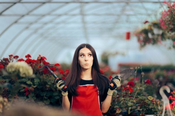 Wenn am 14. Februar schon vormittags die Rosen ausgehen, kommen Floristinnen und Floristen ganz sch&ouml;n ins Schwitzen. 