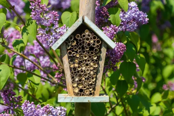 Dein eigenes Insektenhotel muss nicht gro&szlig; sein. Wenn es klein ist, kannst du es aufh&auml;ngen. Das ist f&uuml;r Insekten besonders sicher.