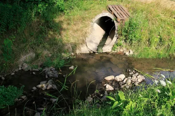 Cyanamid schadet laut ECHA Makroorganismen, Organismen in Oberfl&auml;chengew&auml;ssern und beeintr&auml;chtigt das Grundwasser,